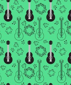 Classical Acoustic Guitars